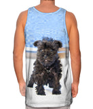 Quirky Schnauzer Poolside