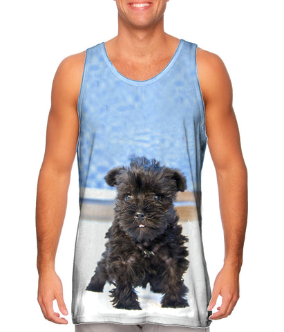 Quirky Schnauzer Poolside