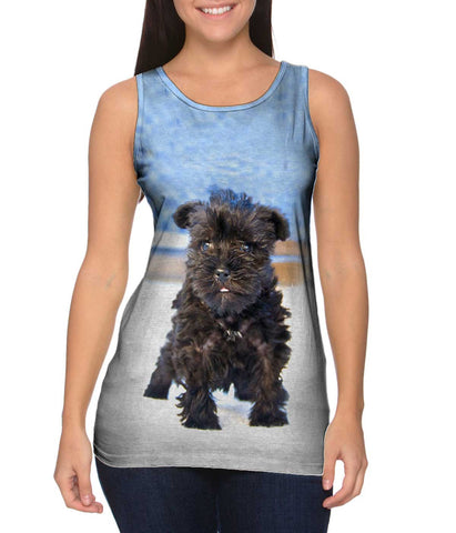 Quirky Schnauzer Poolside