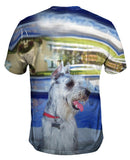 Aquatic Schnauzer