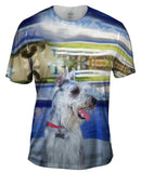 Aquatic Schnauzer
