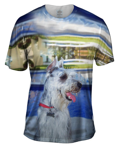 Aquatic Schnauzer