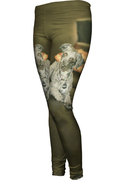 Shaggy Schnauzer&nbsp;Womens Leggings