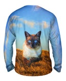 Blue Eyed Cat For President