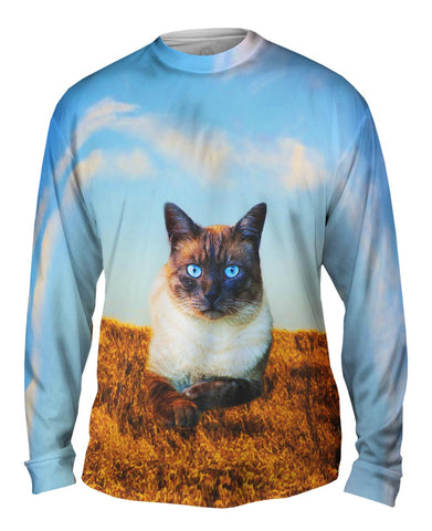 Blue Eyed Cat For President