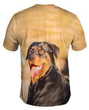Rottweiler Smiling