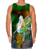 Quiet Garden Chameleon