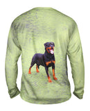 Sweet Park Rottweiler