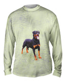 Sweet Park Rottweiler