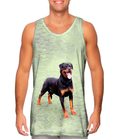 Sweet Park Rottweiler