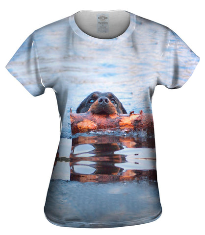 Rottweiler Plays Beaver