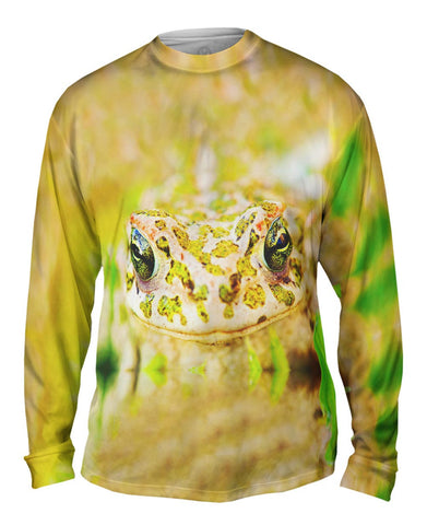 Closeup Frog