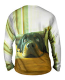 Motionless Rottweiler Puppy Eyes
