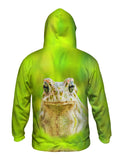 Lovely Frog