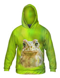 Lovely Frog
