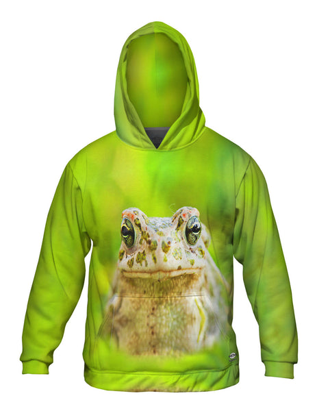Lovely Frog Mens Hoodie Sweater