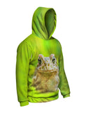 Lovely Frog