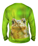 Lovely Frog