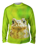 Lovely Frog
