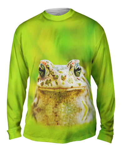 Lovely Frog