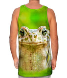 Lovely Frog