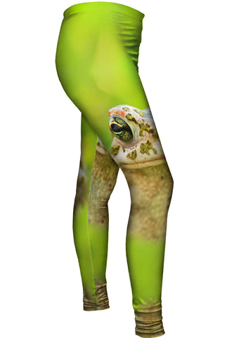 Lovely Frog