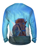 Heavenly Horse
