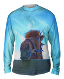 Heavenly Horse