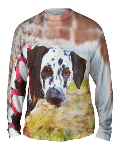Gusty Dalmation