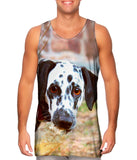 Gusty Dalmation
