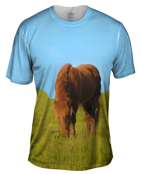 Grazing Wild Horse Mens T-Shirt