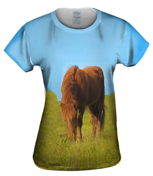 Grazing Wild Horse Womens Top