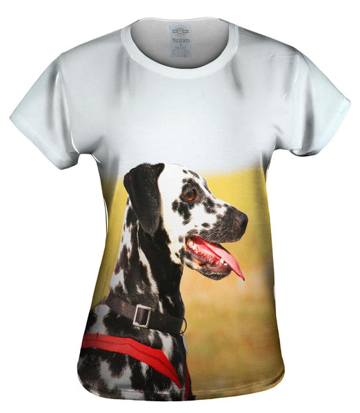 Fearless Dalmation In Field Womens Top