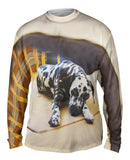 Fretful Dalmation