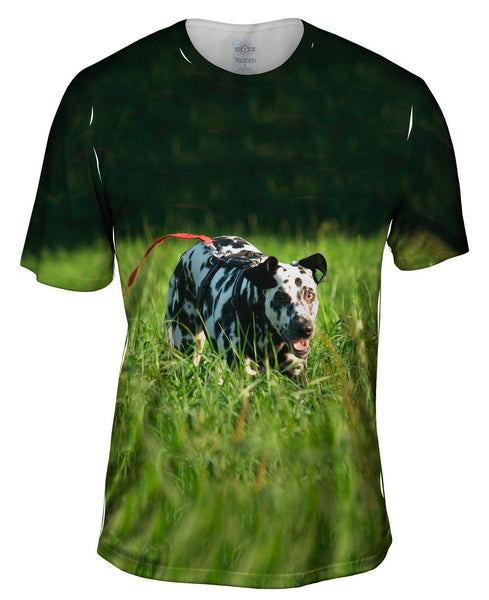 Dalmation On Hunt Mens T-Shirt