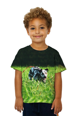 Kids Dalmation On Hunt