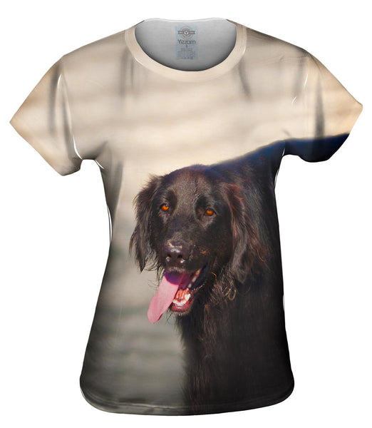 Dog Tired Womens Top