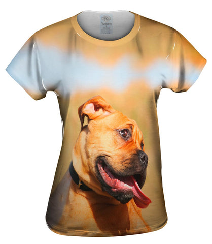 Shy Boxer