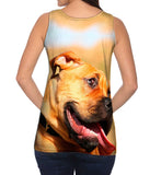 Shy Boxer