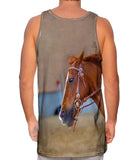 Joyous Race Horse