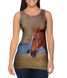 Joyous Race Horse