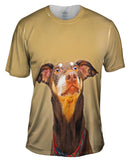 Is That Bacon Golden Doberman Pinscher