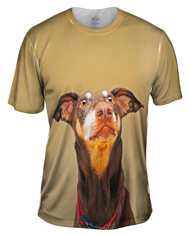 Is That Bacon Golden Doberman Pinscher
