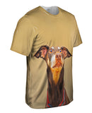 Is That Bacon Golden Doberman Pinscher