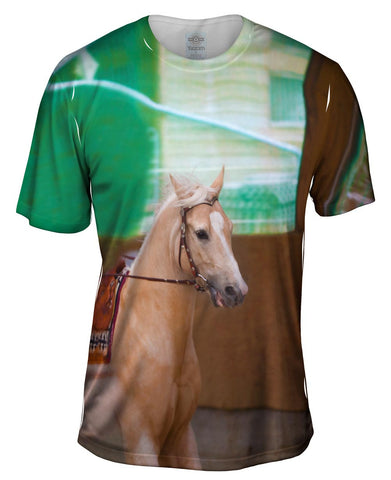 Victorious Horse