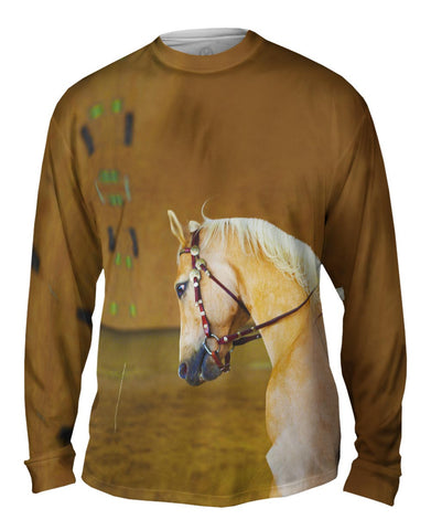 Head Down Horse