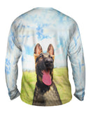 German Shepherd Hero