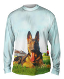 German Shepherd At Home
