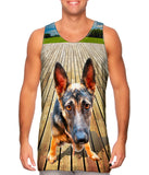 Hilarious German Shepherd
