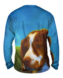 Brave Brown Spaniel